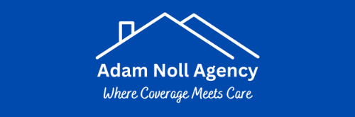 The Adam Noll Agency logo